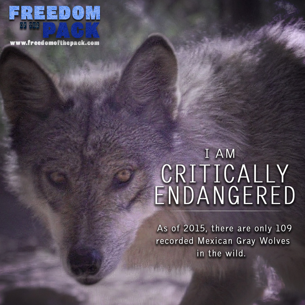 ©2015 Thomas Durant