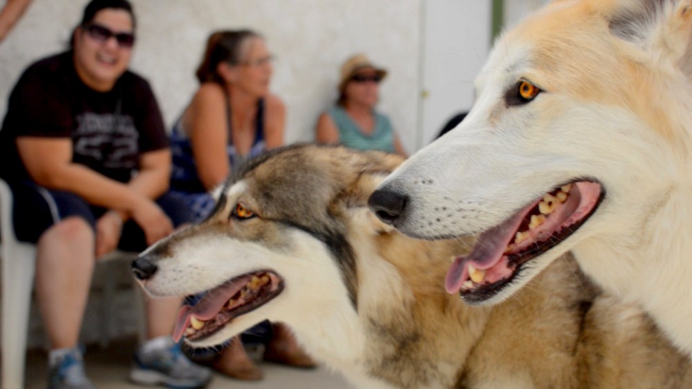 ©2014 Thomas Durant