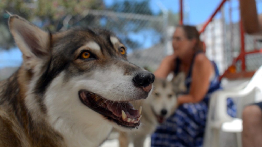 ©2014 Thomas Durant