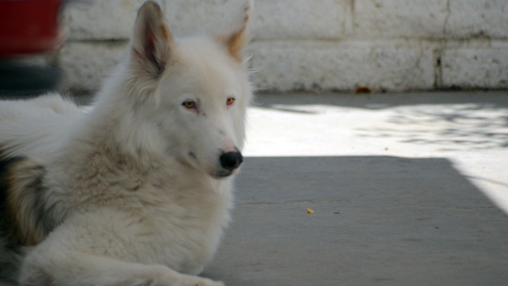 ©2014 Thomas Durant