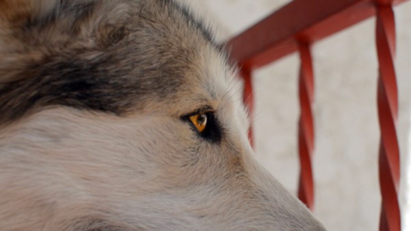 ©2014 Thomas Durant