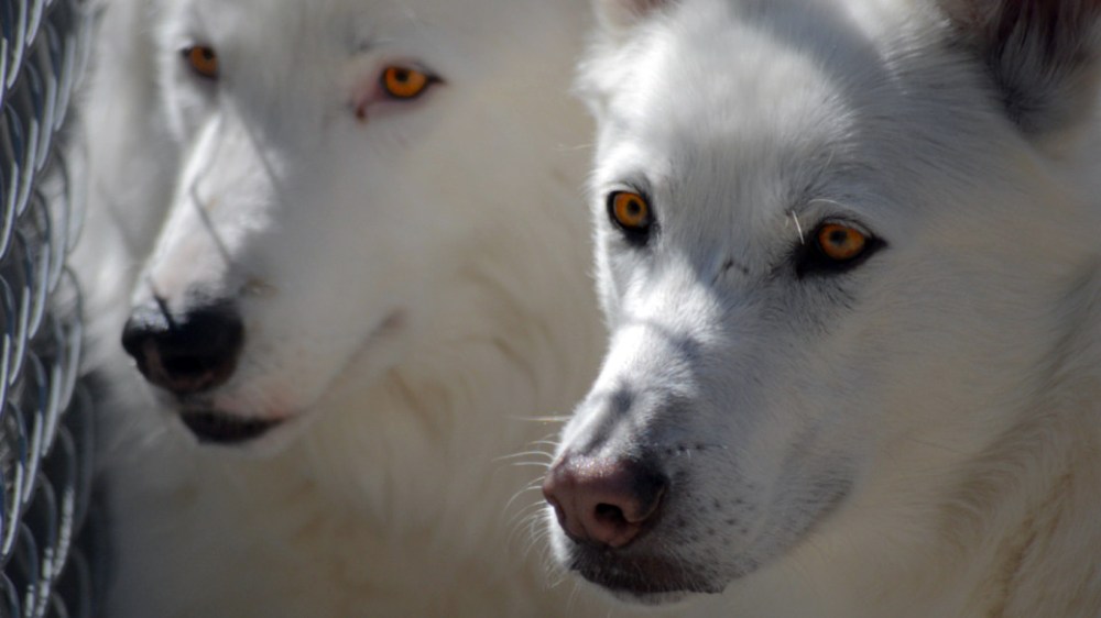 ©2014 Thomas Durant